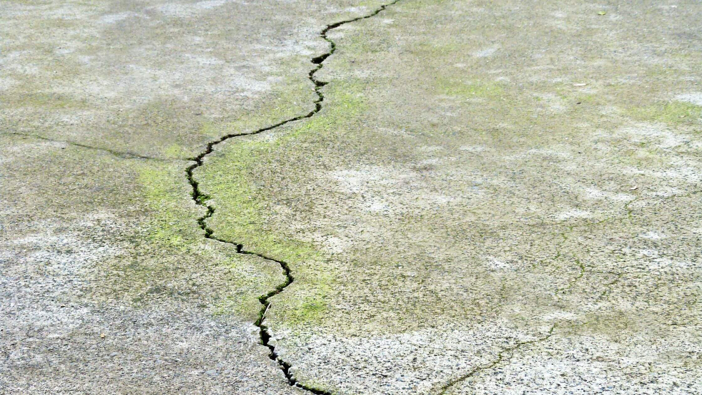 algae on concrete driveway