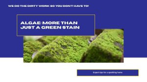 Algae Removal