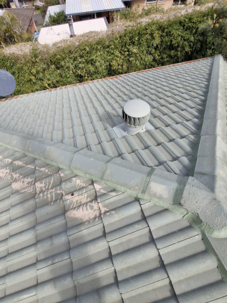 roof cleaning central coast