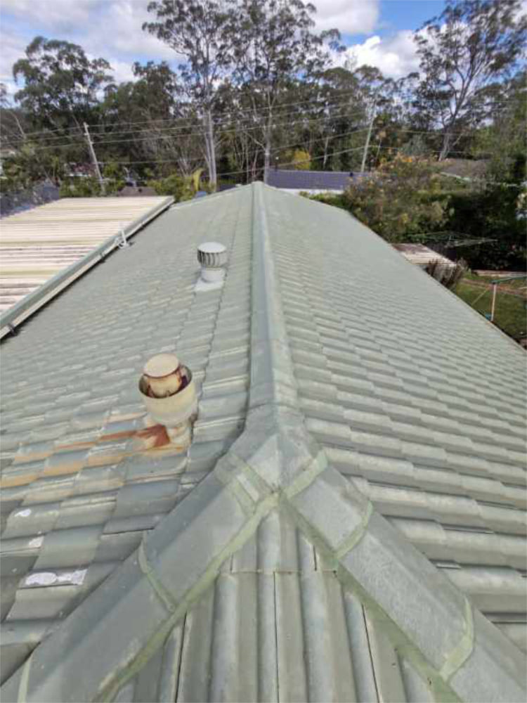 Tile Roof Cleaning